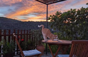 Finca Bravo - Foto 13