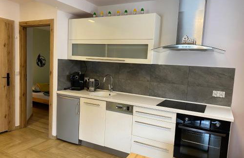 Apartamenty JENDRYCÓWKA - Foto 43