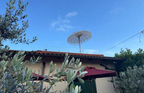 Panoramic Loft Artimino Tuscany - Foto 28