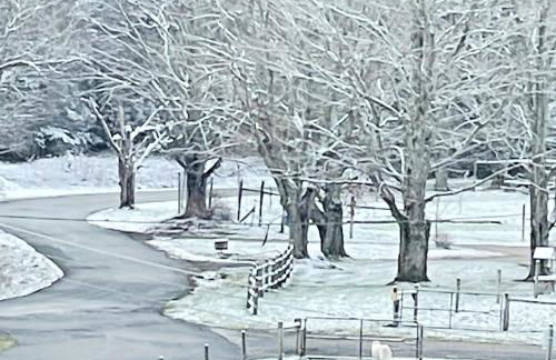 The Blue House On The Hill Catskills—Views - Photo 21