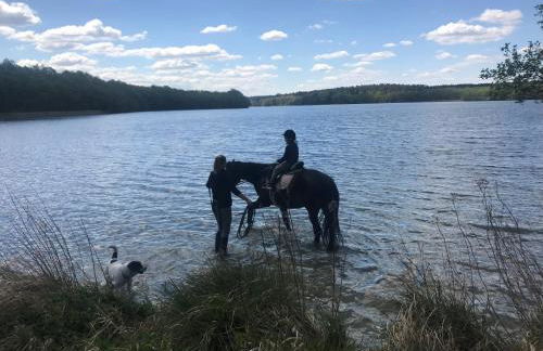 5 Sterne Ferienhaus direkt am See mit Sauna-Kamin-Garten - Foto 28