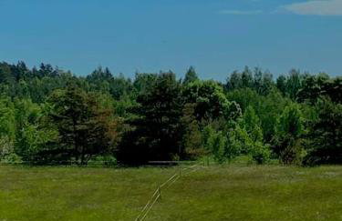 Mazurski dom Brejdyny Sauna i Bania - Foto 51