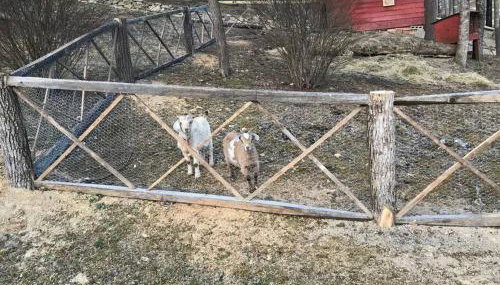 Fairytale: Hot Tub & Trout Stream & Petting Zoo? - Foto 3