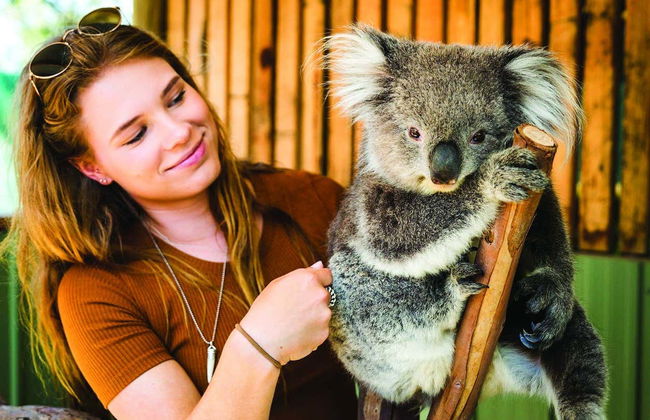 Phillip Island Private Day Trip - Photo 8