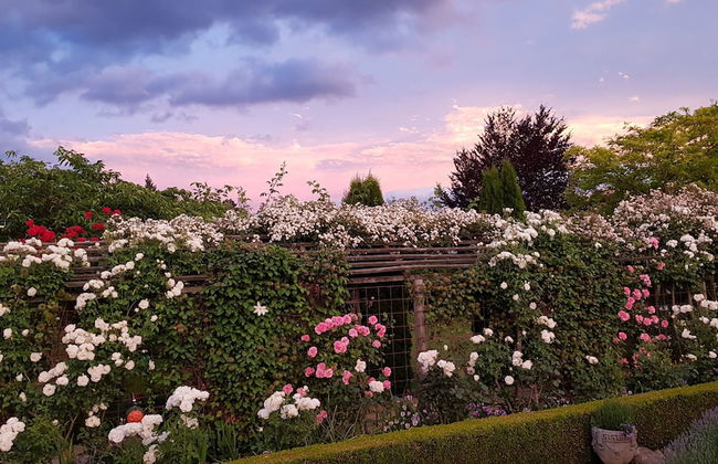 Marchmont Gardens - Photo 49