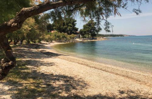 Maslina House - Photo 23