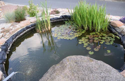Ferienwohnungen Auszeit Ausblick - Foto 7