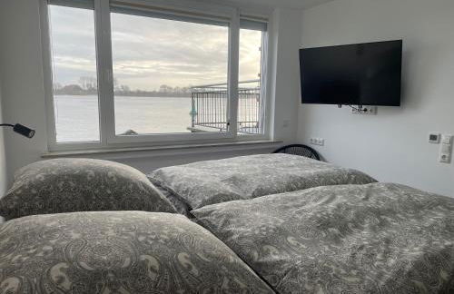 Sonnenschein - Foto 58