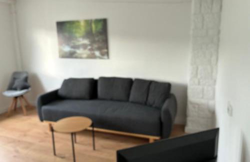 Neu saniertes Penthouse Apartment mit offener Wohnküche - Foto 10