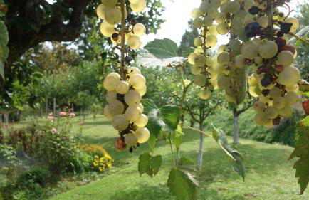 Apartment Mia - Foto 62