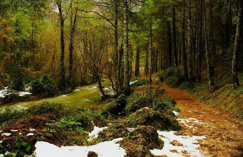 Casa Rural en Aldea Cueva Ahumada - Foto 19