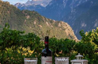 Fairy Dreams - Photo 9