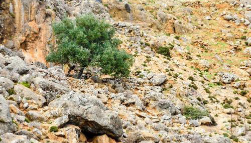 Livaniana Panoramic View house 2 - Foto 4