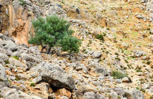 Livaniana Panoramic View house 2 - Foto 4