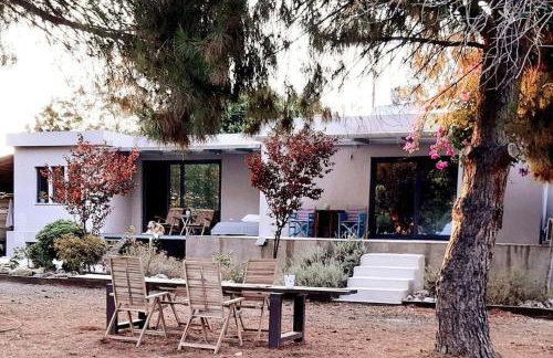 Coralia's beachfront sea view studio - Foto 1