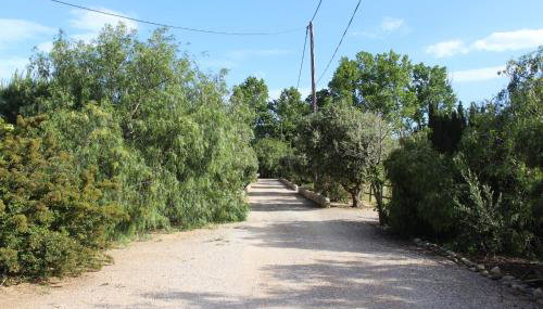 Mas des Oliviers - Foto 3