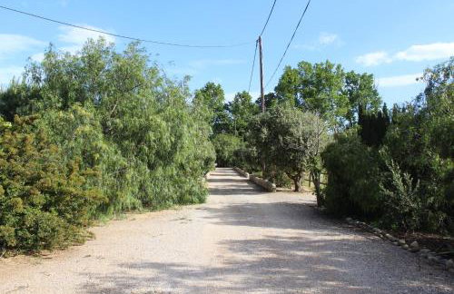 Mas des Oliviers - Foto 3