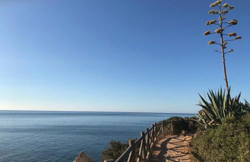 Casa Atlantida Golfemar - Foto 18