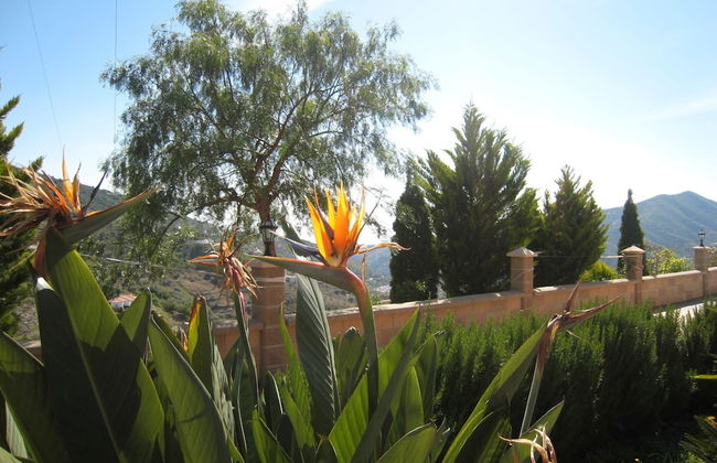 Luxury Villa in Sayalonga With Private Pool - Photo 34