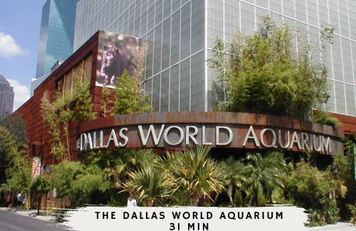 3-BD 2-BA Frisco Getaway - Backyard Patio BBQ - Foto 46