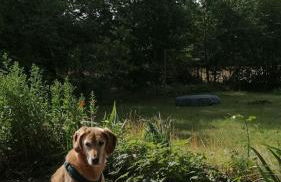 Flämingpanorama - Ländliches Gartenhaus mit Kamin und Naturpanorama - Photo 49