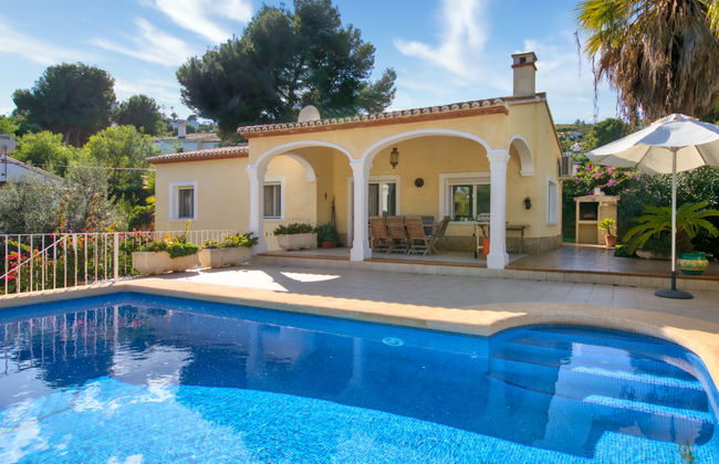 Eucaliptus - Foto 26