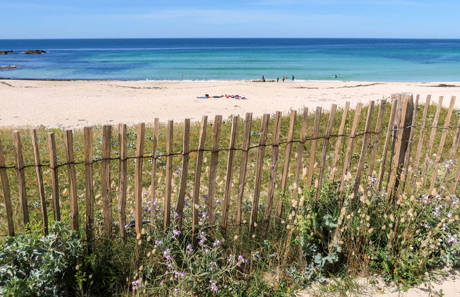 Partie de pêche - Foto 28