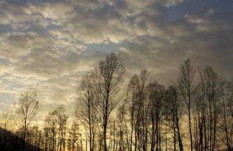 Casa Moiser - Foto 25