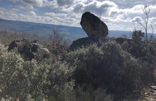 Casa do Pardal - Foto 25