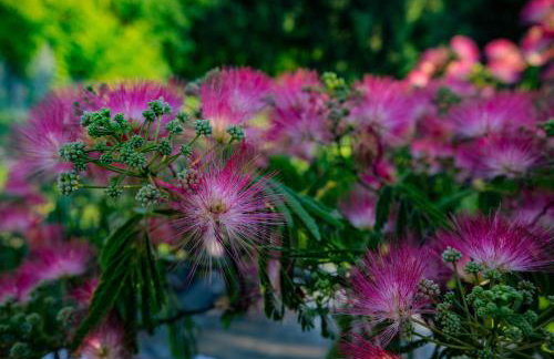 Agréable logement indépendant avec véranda - Foto 21