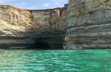 Ale house experience - Foto 12