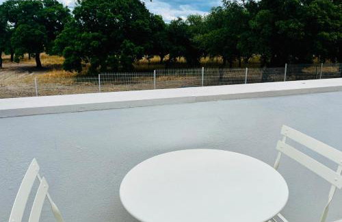 Refugio do Gato - Photo 77