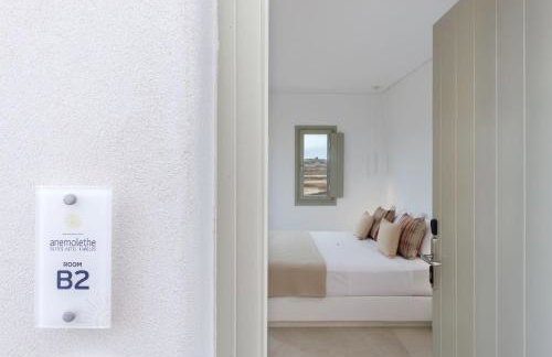 ANEMOLETHE - Foto 33