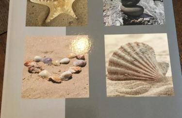 Fewo Schröder - BUDE 63a - mit Strandkorb am Meer - inklusive Bettwäsche und Handtücher - Foto 25