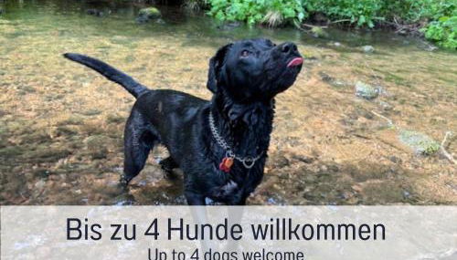 Hüttenchalet Waldschatz mit Sauna, Kamin und eingezäunt - Foto 2, pet friendly