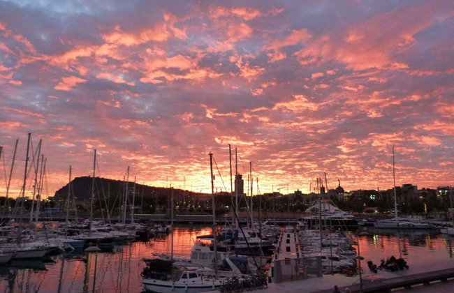 Entrada al Museo de Historia de Cataluña - Foto 8