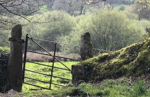 Holiday Home Idyllisches-haustierfreundliches Landhaus Lavender by Interhome - Photo 27