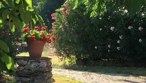 Agriturismo Podere Conte Ràcani - Photo 5, Garden