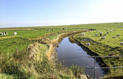 Drei-Insel-Blick Neßmersiel - Foto 33