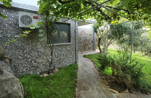 Captain Ikaros - Foto 160