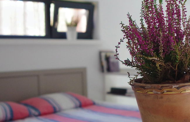 Rabarberi LV - SeaSide Village - Foto 29