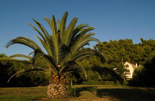 Amaryllis Summer Maisonettes - Foto 10