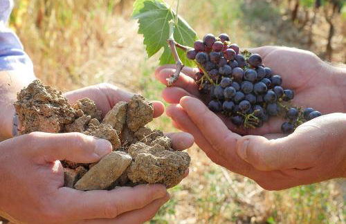 TerraVita Winery & Boutique Apartments - Foto 19