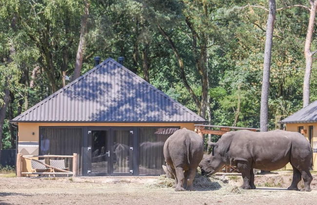 Safari Resort Beekse Bergen - Foto 23