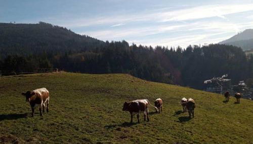 s'heimatgfühl - Foto 3