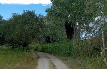 La Familia Luxury Private Maisonettes near the sea - Foto 48