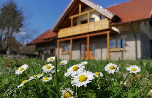 Wandertraum Johann - FeWo Eifel - Foto 1