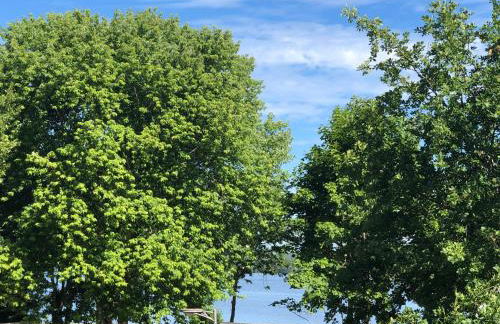 LénaLac - résidence 3 étoiles - Aureilhan bord du lac - Foto 29