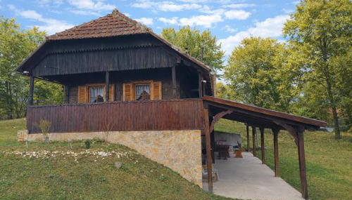 Šumski san - Foto 2, Garden