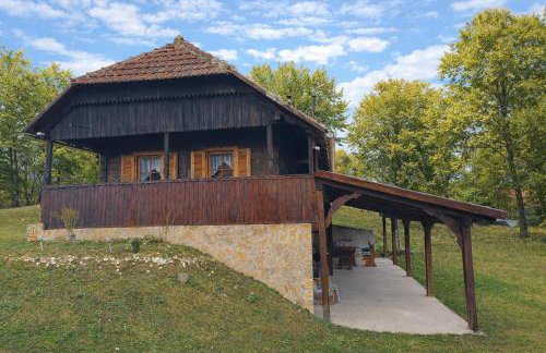 Šumski san - Foto 2